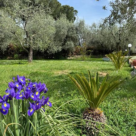 La Piccola Provenza Villa Fiano Romano Exterior photo